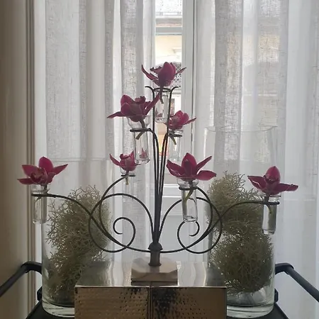 Universal Boutique 4*