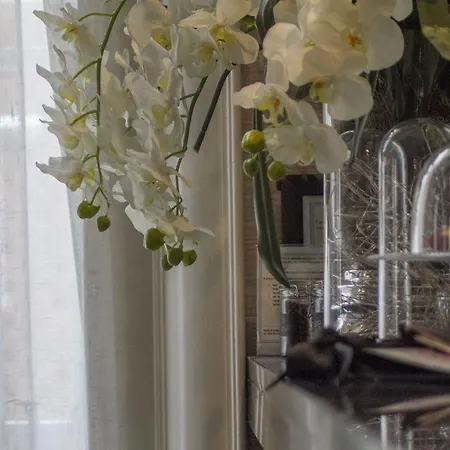 Hotel Universal Boutique Figueira da Foz