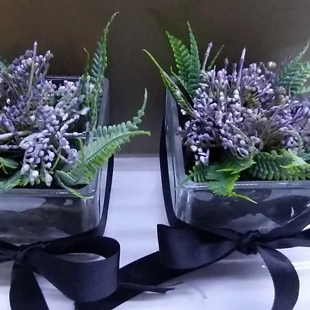 Universal Boutique Hotel Figueira da Foz