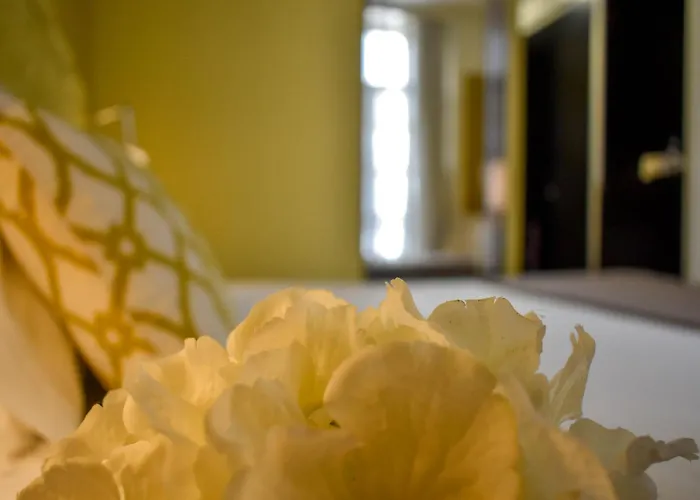 Universal Boutique ホテル