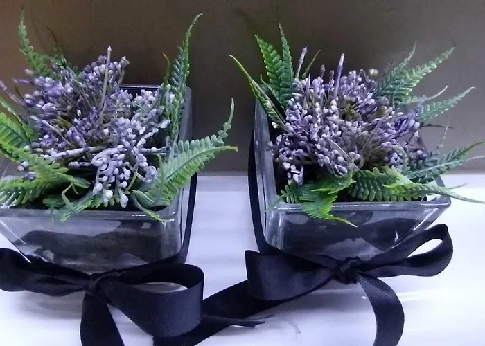 Universal Boutique ホテル フィゲイラ・ダ・フォズ